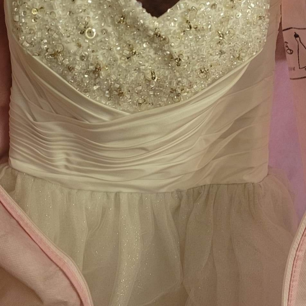 Cinderella  wedding dress